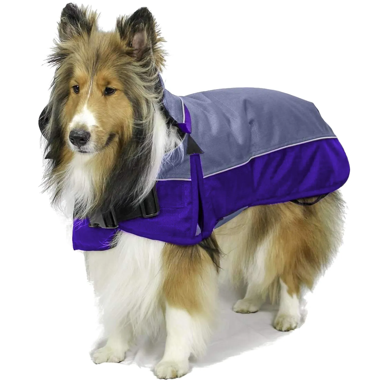 Derby Originals Ruff Pup 1200D Medium Weight Winter Dog Coat with Neck Cover 220g and Harness Compatible Opening