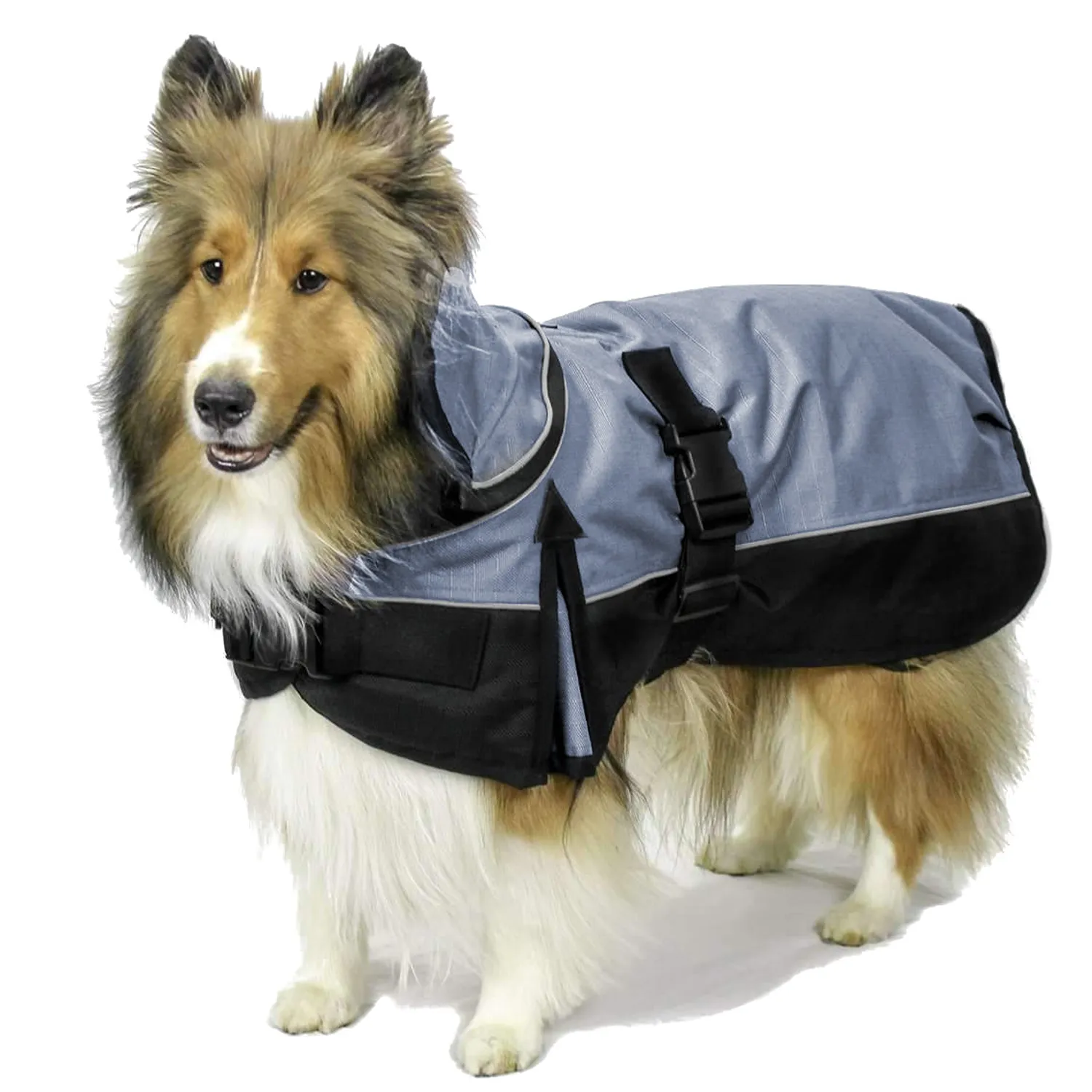 Derby Originals Ruff Pup 1200D Medium Weight Winter Dog Coat with Neck Cover 220g and Harness Compatible Opening