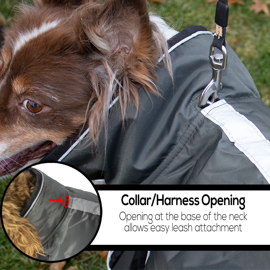 Derby Originals Urban 420D Heavy Weight Winter Dog Parka with Neck Cover & Harness Compatible Opening 220g