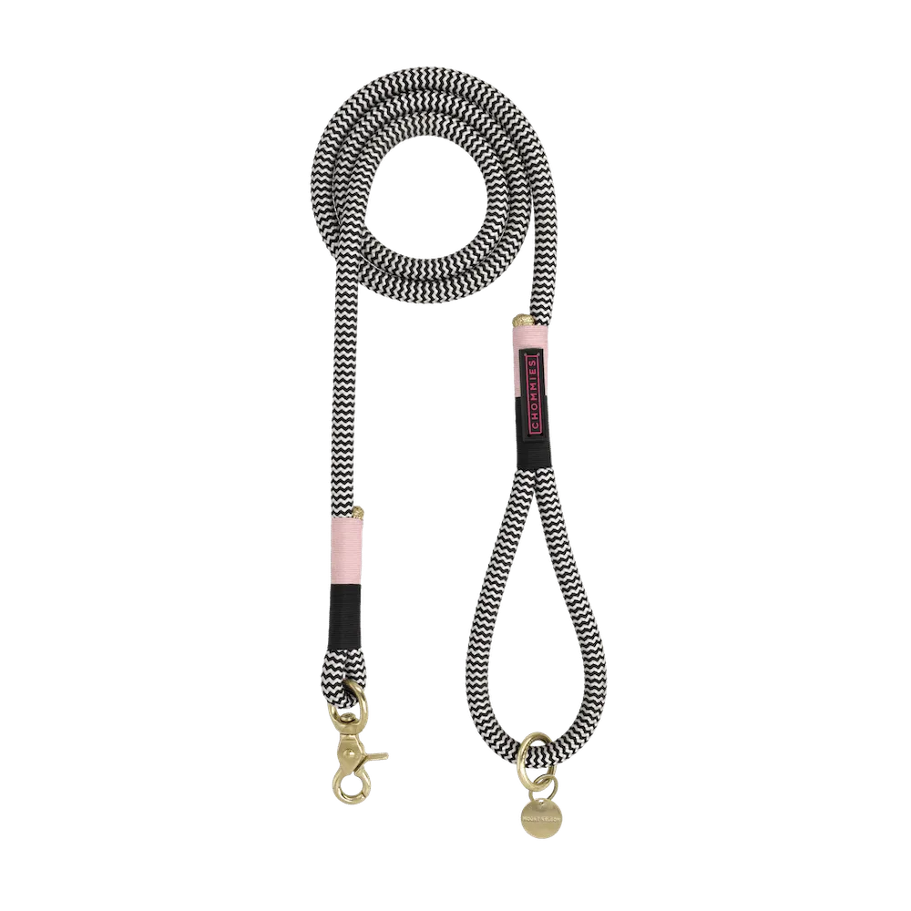 Everyday Dog Leash | Tennis Court