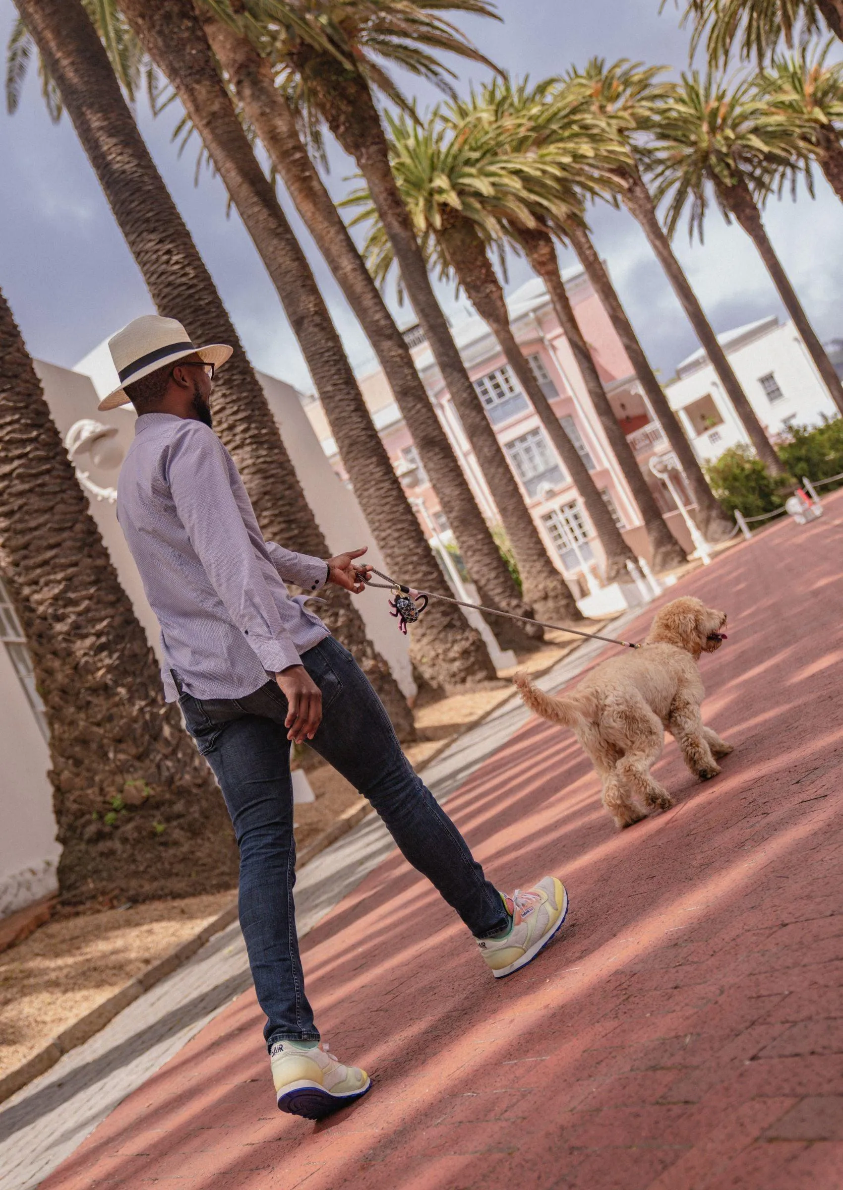 Everyday Dog Leash | Tennis Court