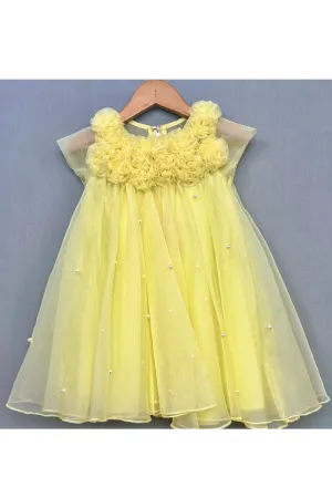 Lemon Yellow Floral Embellished A-Line Dress