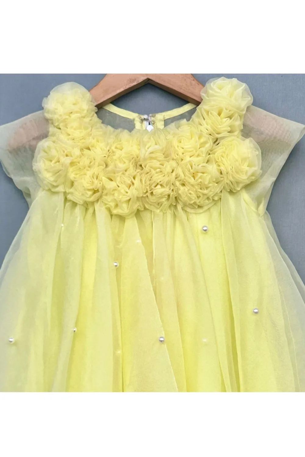 Lemon Yellow Floral Embellished A-Line Dress