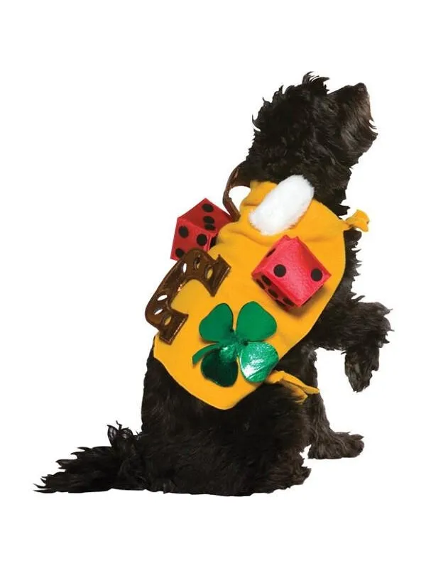 Lucky Dog Costume