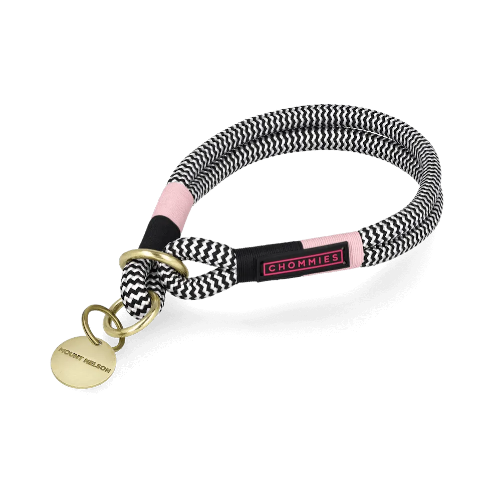 O-Ring Choker Dog Collar | Tennis Court