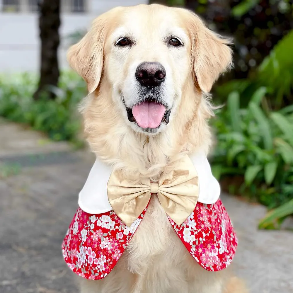 RuffCo Handcrafted Cape For Cats & Dogs (Red Festive Flowers)