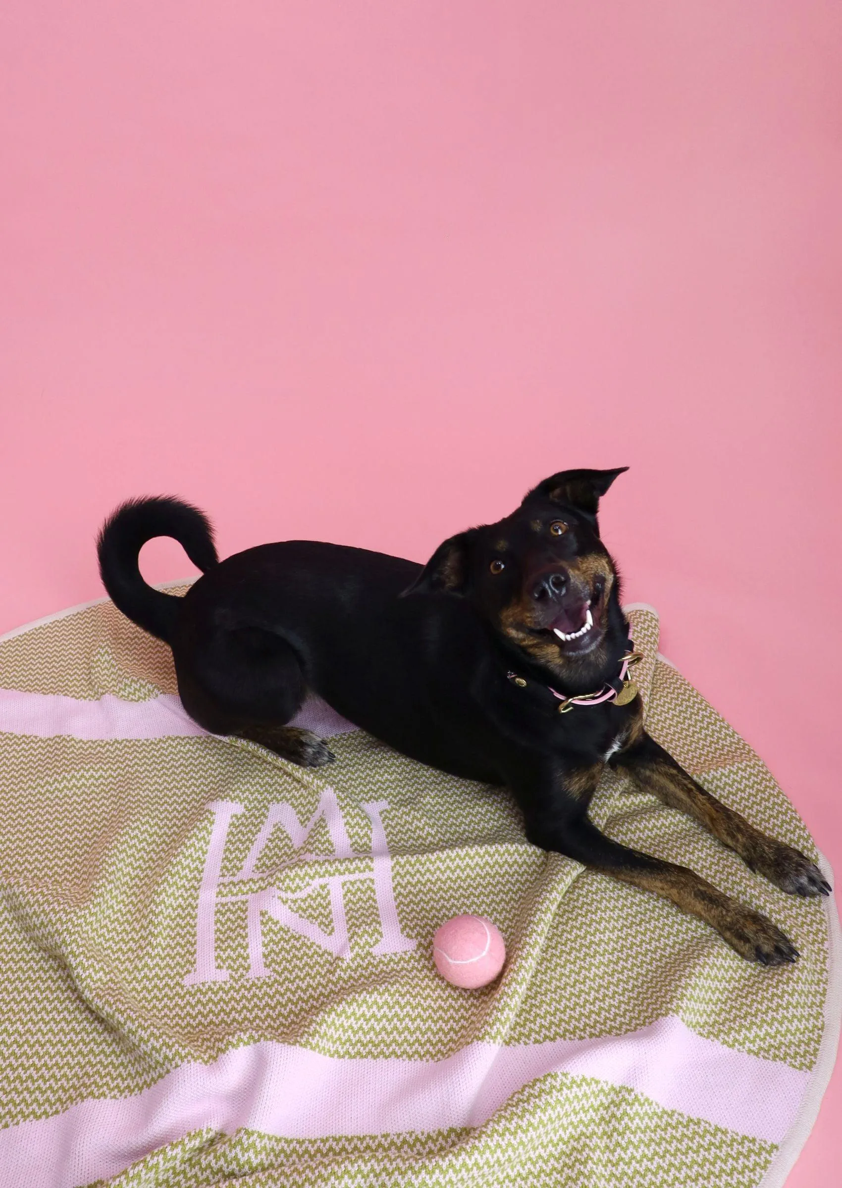 Tennis Ball Picnic Blanket