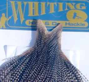 Whiting High and Dry Hackle Cape